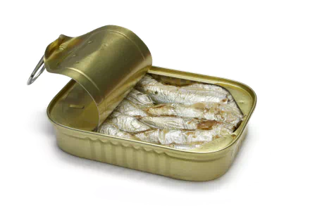 food sardine HD Desktop Wallpaper | Background Image