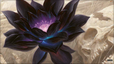 A striking HD wallpaper featuring a dark, ethereal lotus flower illuminated with purple hues, juxtaposed against a gentle skull backdrop, inspired by Magic: The Gathering.