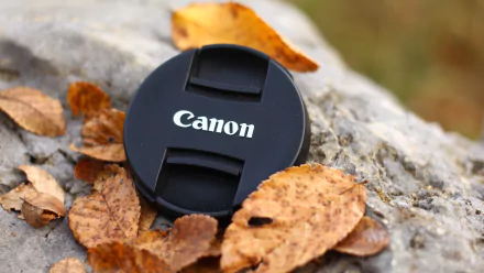 man made canon HD Desktop Wallpaper | Background Image