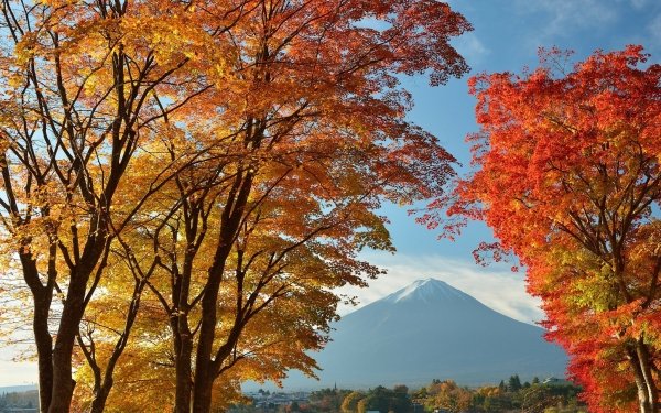 Nature Mount Fuji Volcanoes Mountain Volcano Japan Fall HD Wallpaper | Background Image