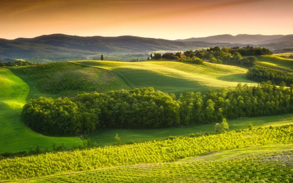 Sunlit valley in Tuscany, Italy, showcasing rolling hills and lush greenery in a vibrant 4K Ultra HD photography landscape.