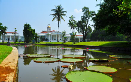 A serene view of Bogor Palace, surrounded by lush greenery and a pond with lily pads, under a clear blue sky, making for a stunning HD desktop wallpaper.