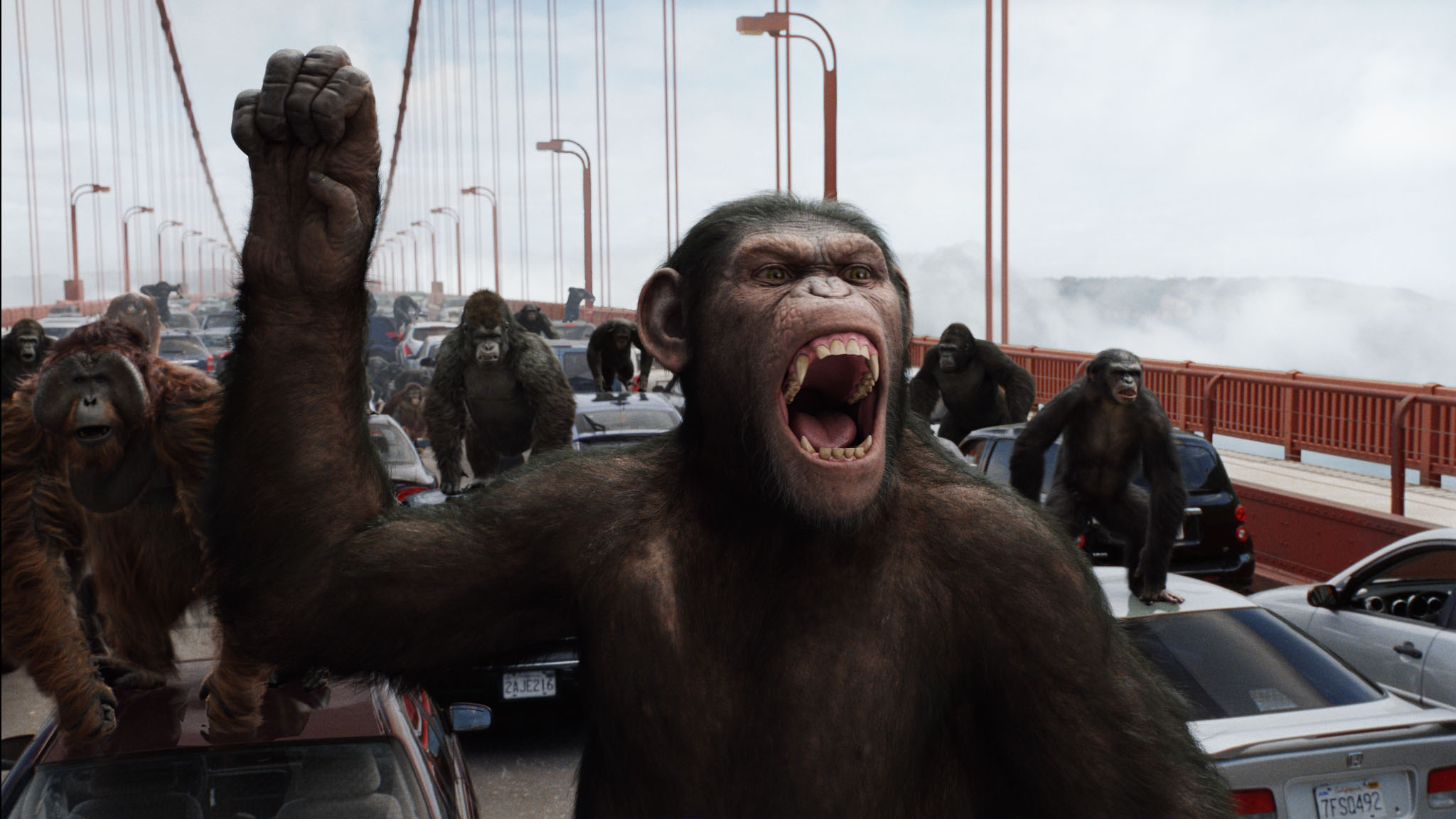 20+ Rise Of The Planet Of The Apes HD Wallpapers and Backgrounds
