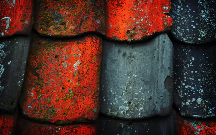 man made roof HD Desktop Wallpaper | Background Image