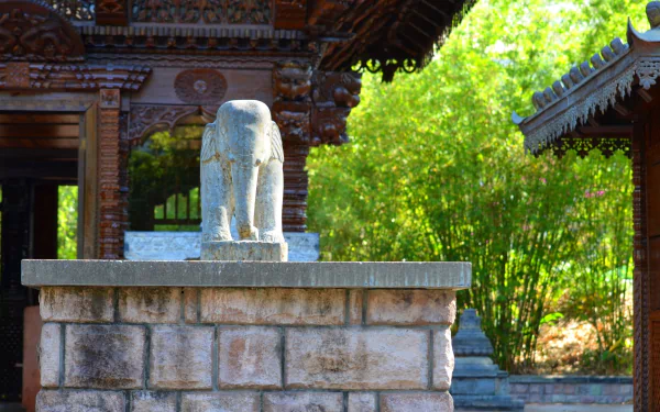 HD PC desktop wallpaper/background: man-made stone elephant statue at a Nepalese pagoda in Brisbane, Australia, carved wooden roofs and sunlit green foliage.