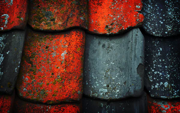 man made roof HD Desktop Wallpaper | Background Image
