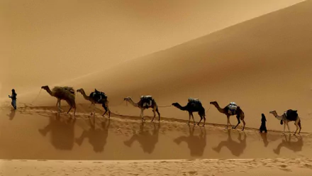 photography caravan HD Desktop Wallpaper | Background Image