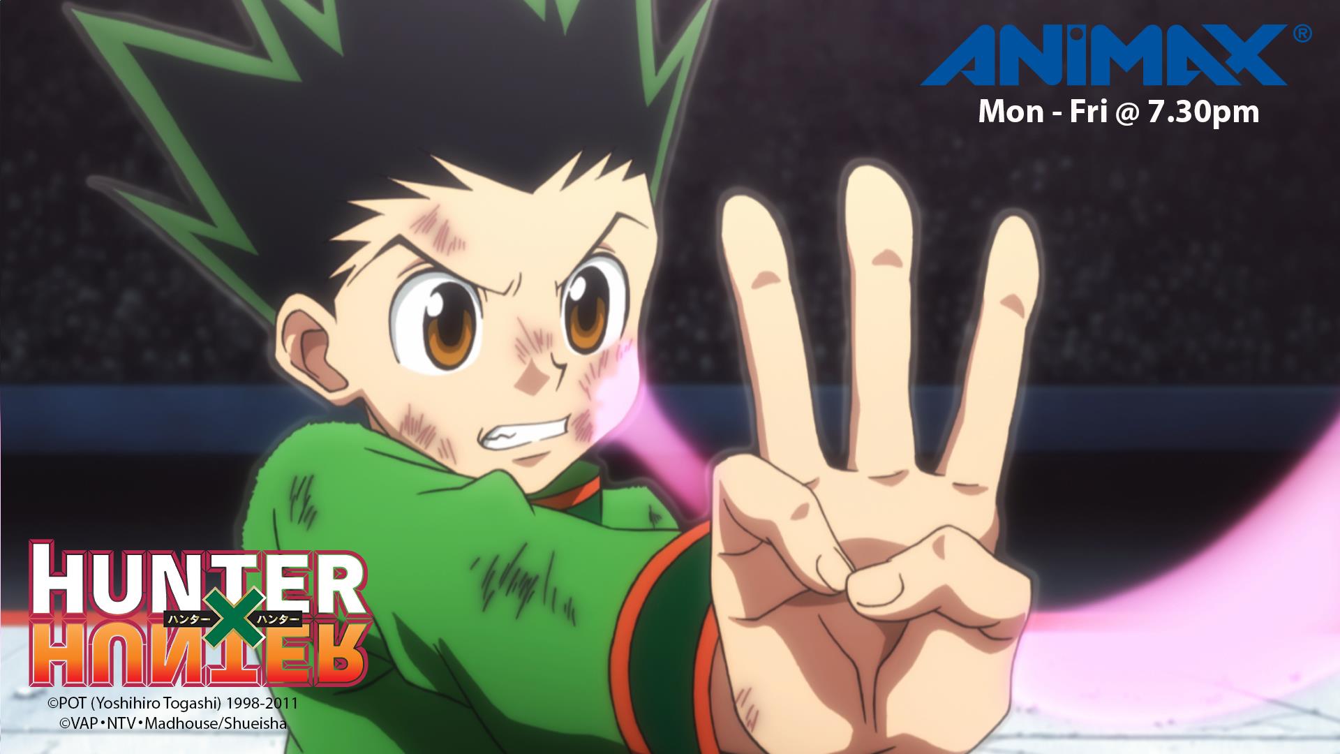 Leorio Paradinight, Wiki Hunter x Hunter