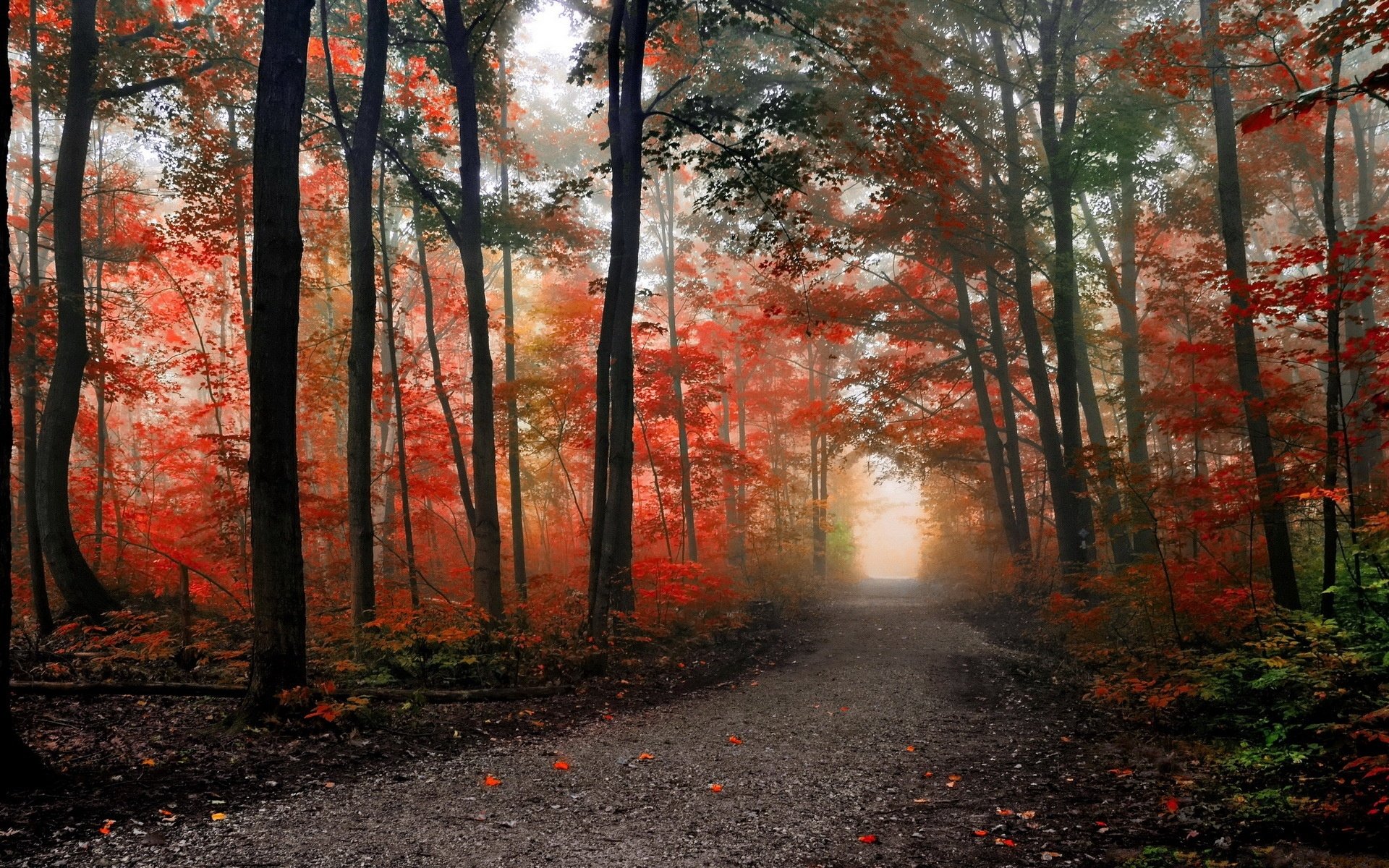 Download Man Made Path HD Wallpaper | 1920x1200 | Wallpaper Abyss