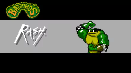 video game battle toads HD Desktop Wallpaper | Background Image