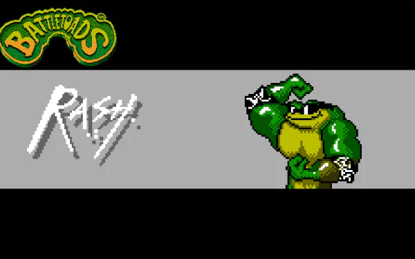 video game battle toads HD Desktop Wallpaper | Background Image