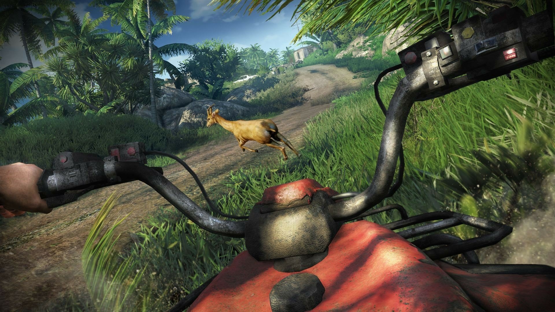 hd far cry 3 backgrounds