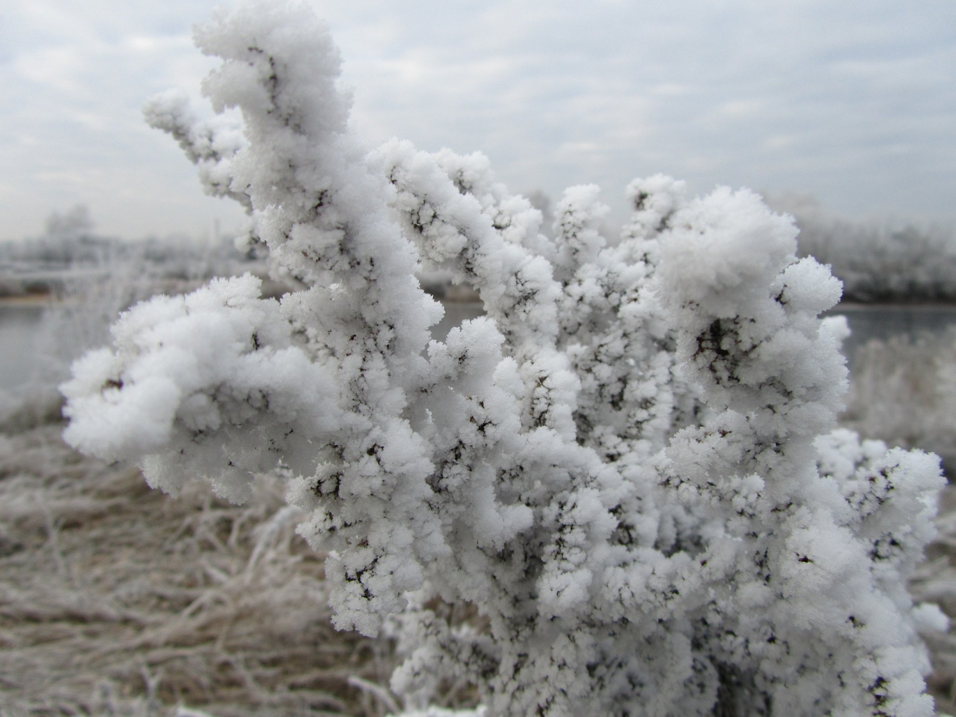 Download Nature Ice 4k Ultra HD Wallpaper by Vergilius