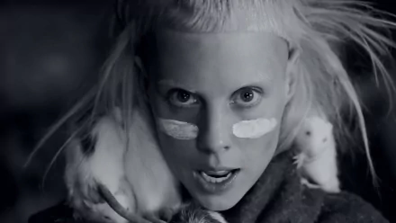 music Die Antwoord HD Desktop Wallpaper | Background Image