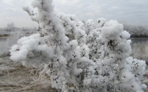 nature ice HD Desktop Wallpaper | Background Image