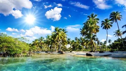 HD desktop wallpaper of a tropical island beach with clear turquoise water, lush palm trees, and a bright sunny sky with scattered clouds.
