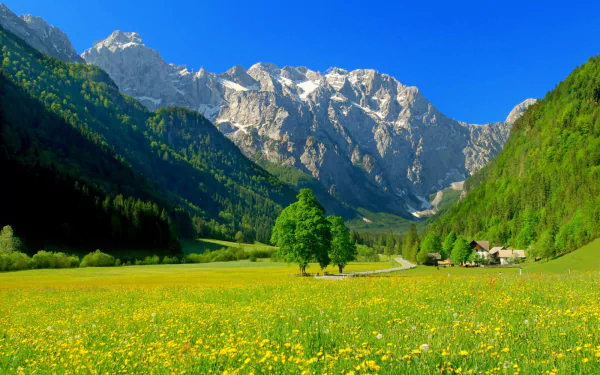  The Logar Valley