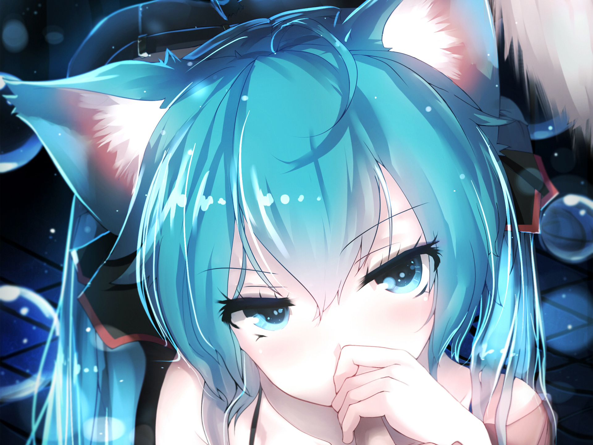 Miku-Nyan HD Wallpaper | Background Image | 1920x1440