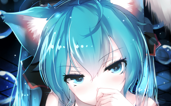 Anime Vocaloid Hatsune Miku Animal Ears Nekomimi Blue Eyes Blue Hair Twintails HD Wallpaper | Hintergrund