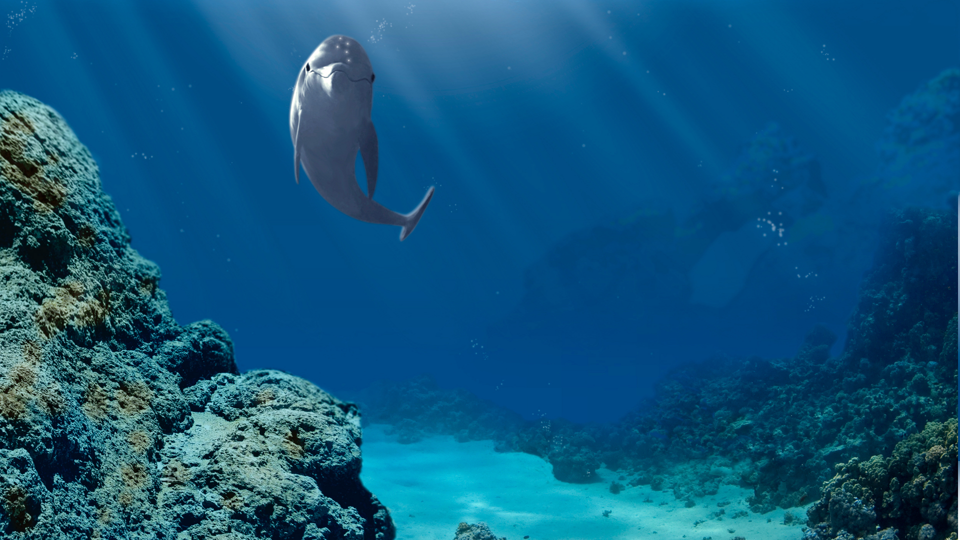 Video Game Ecco The Dolphin HD Wallpaper | Background Image
