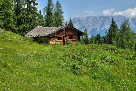 4K Ultra HD PC desktop wallpaper of a man-made wooden cabin in a sunlit alpine meadow, surrounded by evergreens and distant mountain peaks.
