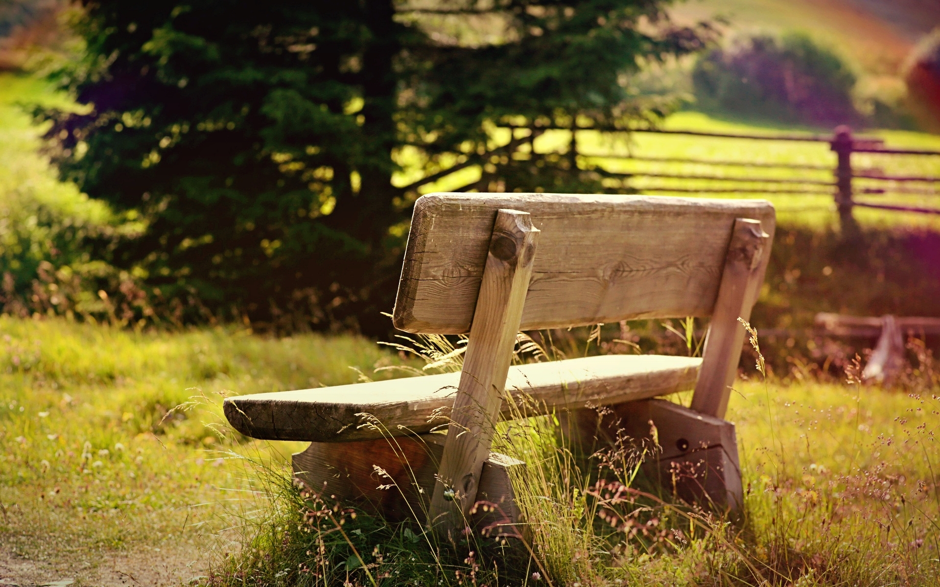 Bench HD Wallpaper | Background Image | 1920x1200