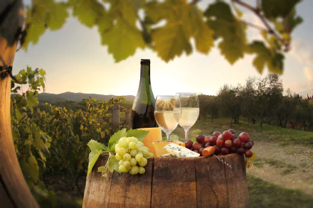food wine HD Desktop Wallpaper | Background Image