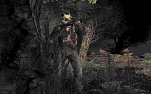 HD PC desktop wallpaper from the video game DayZ, featuring a character in a gas mask and dark clothing aiming a rifle in a forested environment at night.