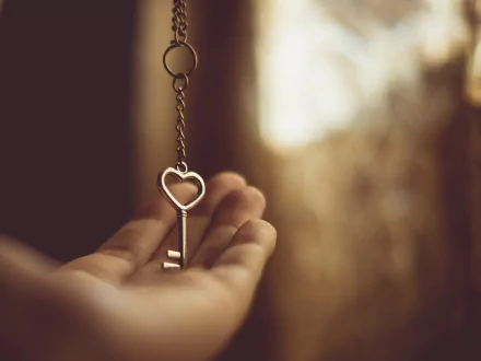 photography hand HD Desktop Wallpaper | Background Image