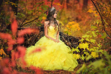 Woman model in a yellow ball gown and tiara sits among vibrant autumn foliage; 2K Quad HD PC desktop wallpaper and background.