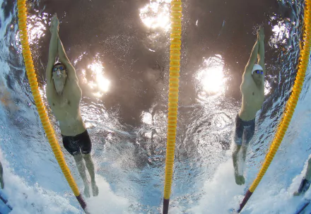 swimming Sports HD Desktop Wallpaper | Background Image