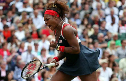 tennis Sports HD Desktop Wallpaper | Background Image