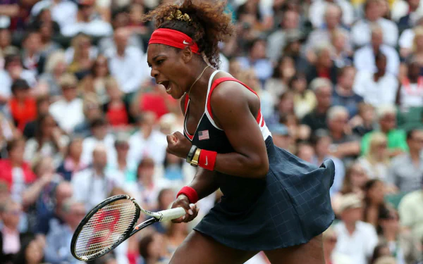tennis Sports HD Desktop Wallpaper | Background Image