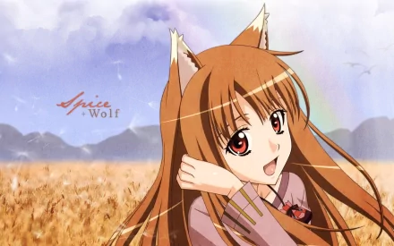 HD desktop wallpaper featuring Holo from the anime Spice and Wolf, with wolf ears and long hair, set against a backdrop of a wheat field, mountains, and a rainbow in the sky.