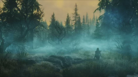HD wallpaper and background from The Elder Scrolls V: Skyrim, featuring a misty forest scene with a lone figure walking through tall grass, surrounded by towering trees under a hazy sky.