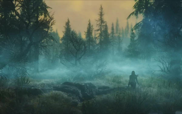 HD wallpaper and background from The Elder Scrolls V: Skyrim, featuring a misty forest scene with a lone figure walking through tall grass, surrounded by towering trees under a hazy sky.