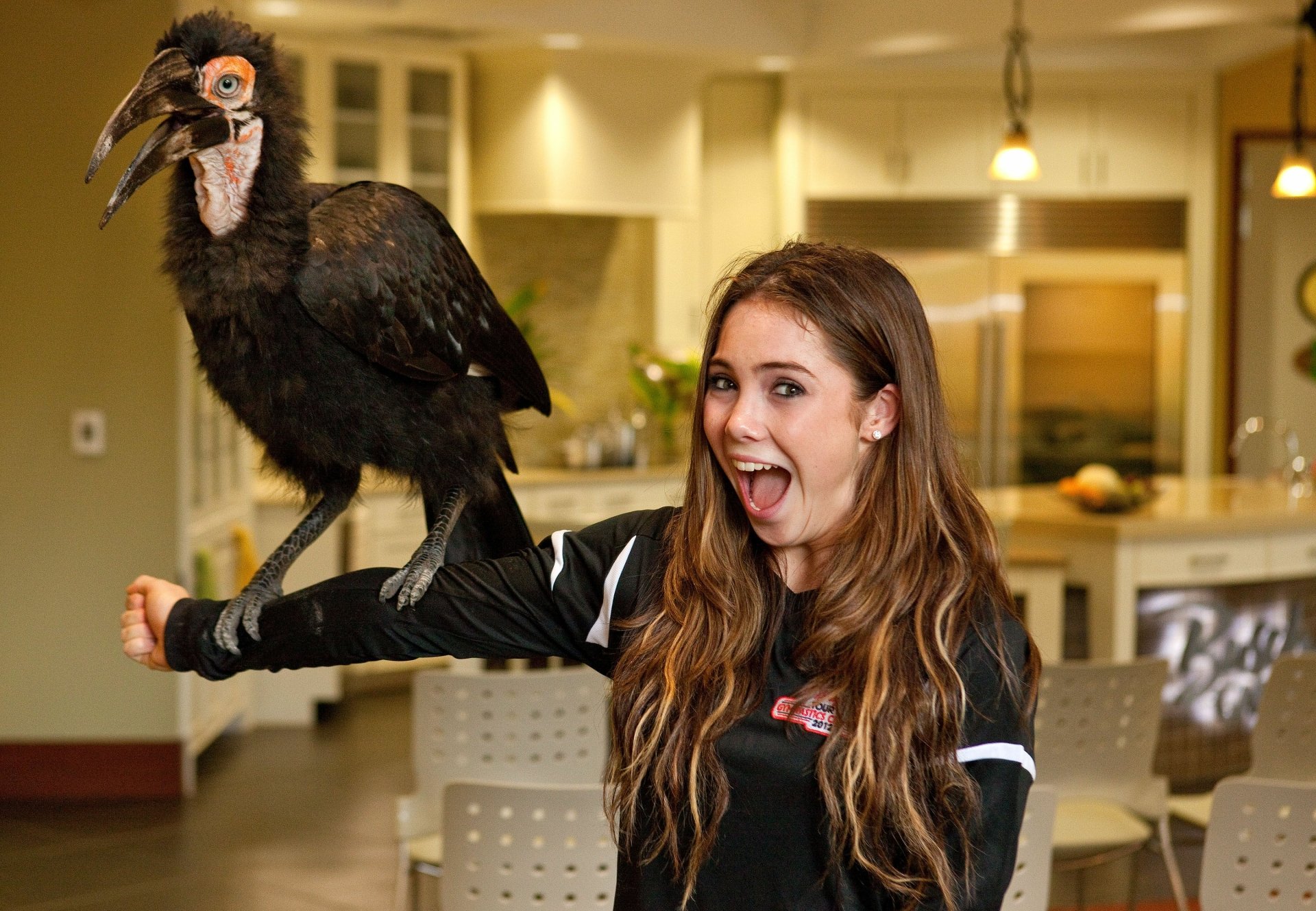 Download Mckayla Maroney Sports HD Wallpaper