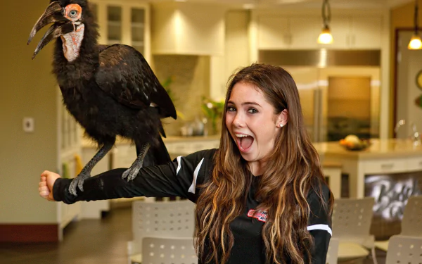 mckayla maroney Sports HD Desktop Wallpaper | Background Image