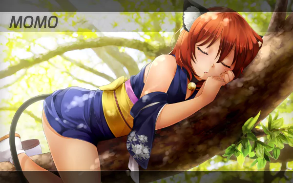 video game Huniepop HD Desktop Wallpaper | Background Image