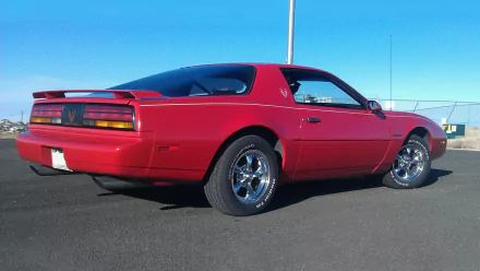 vehicle Pontiac Firebird HD Desktop Wallpaper | Background Image