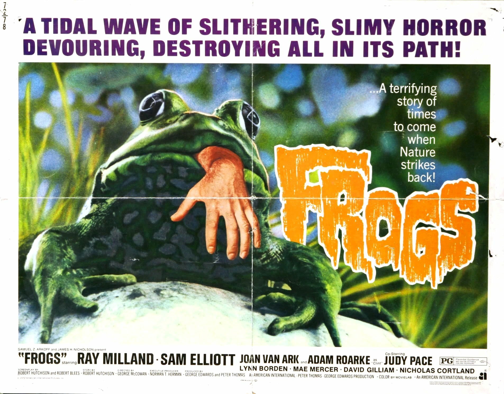 Download Movie Frogs Wallpaper