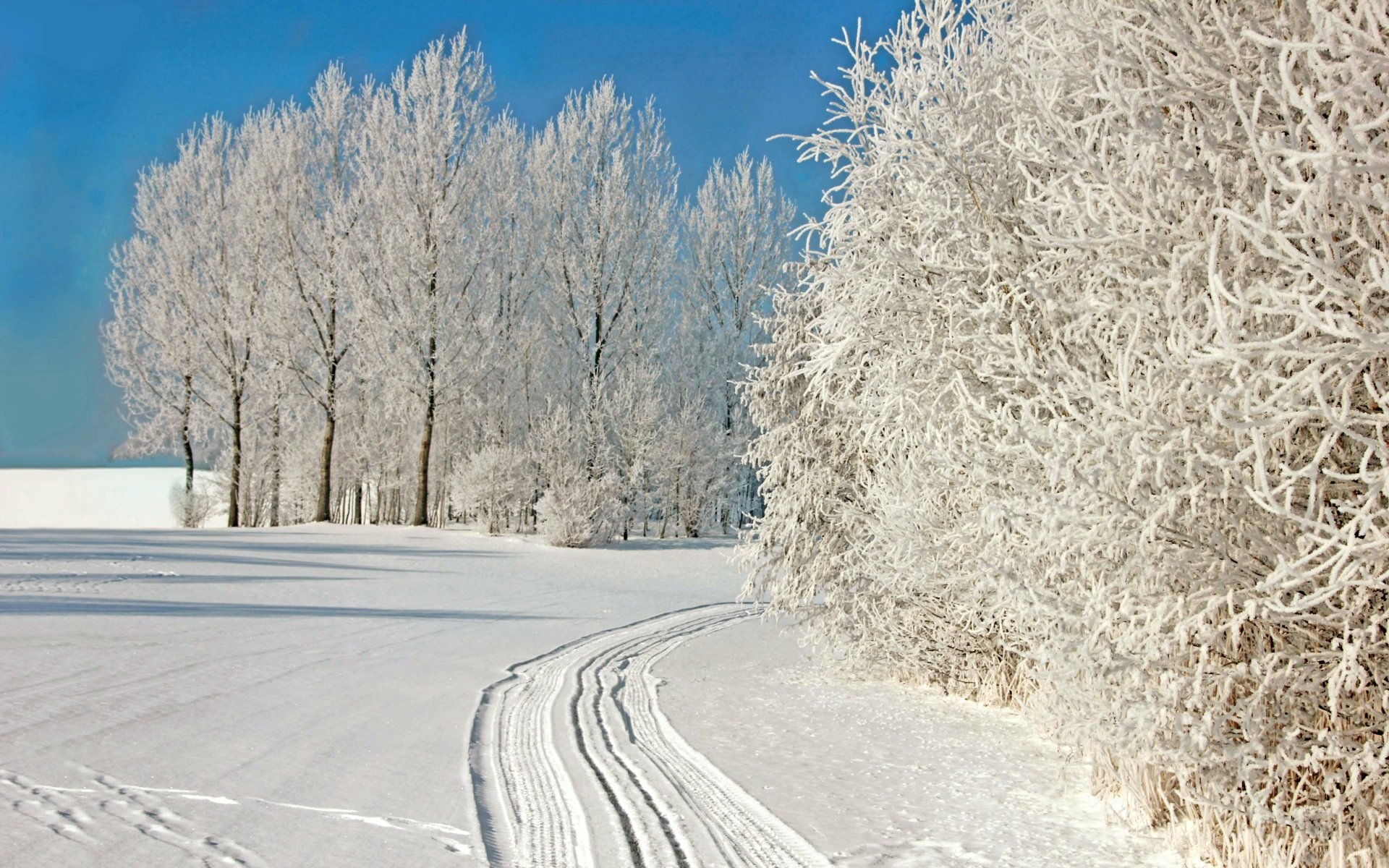 Frozen Winter Wonderland Desktop