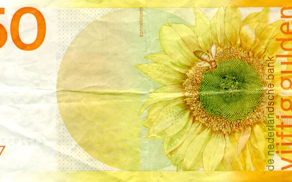 man made Dutch guilder HD Desktop Wallpaper | Background Image