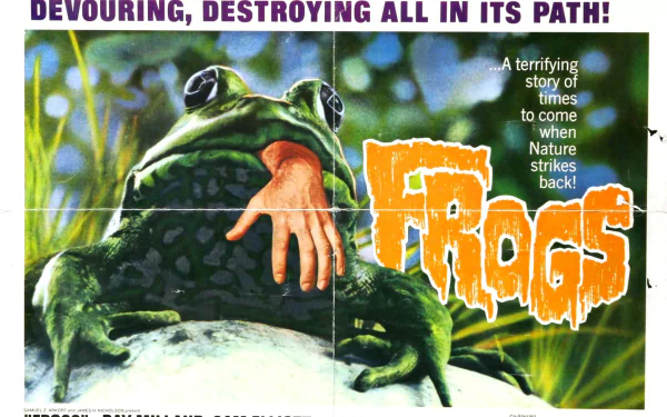 movie Frogs HD Desktop Wallpaper | Background Image