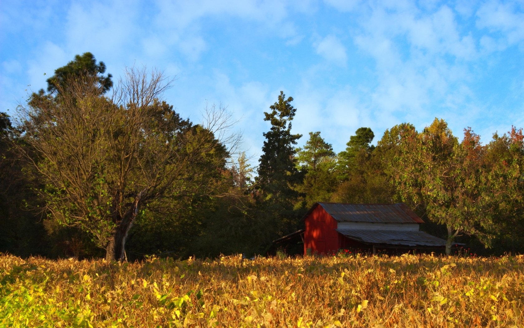 Man Made Barn Wallpaper