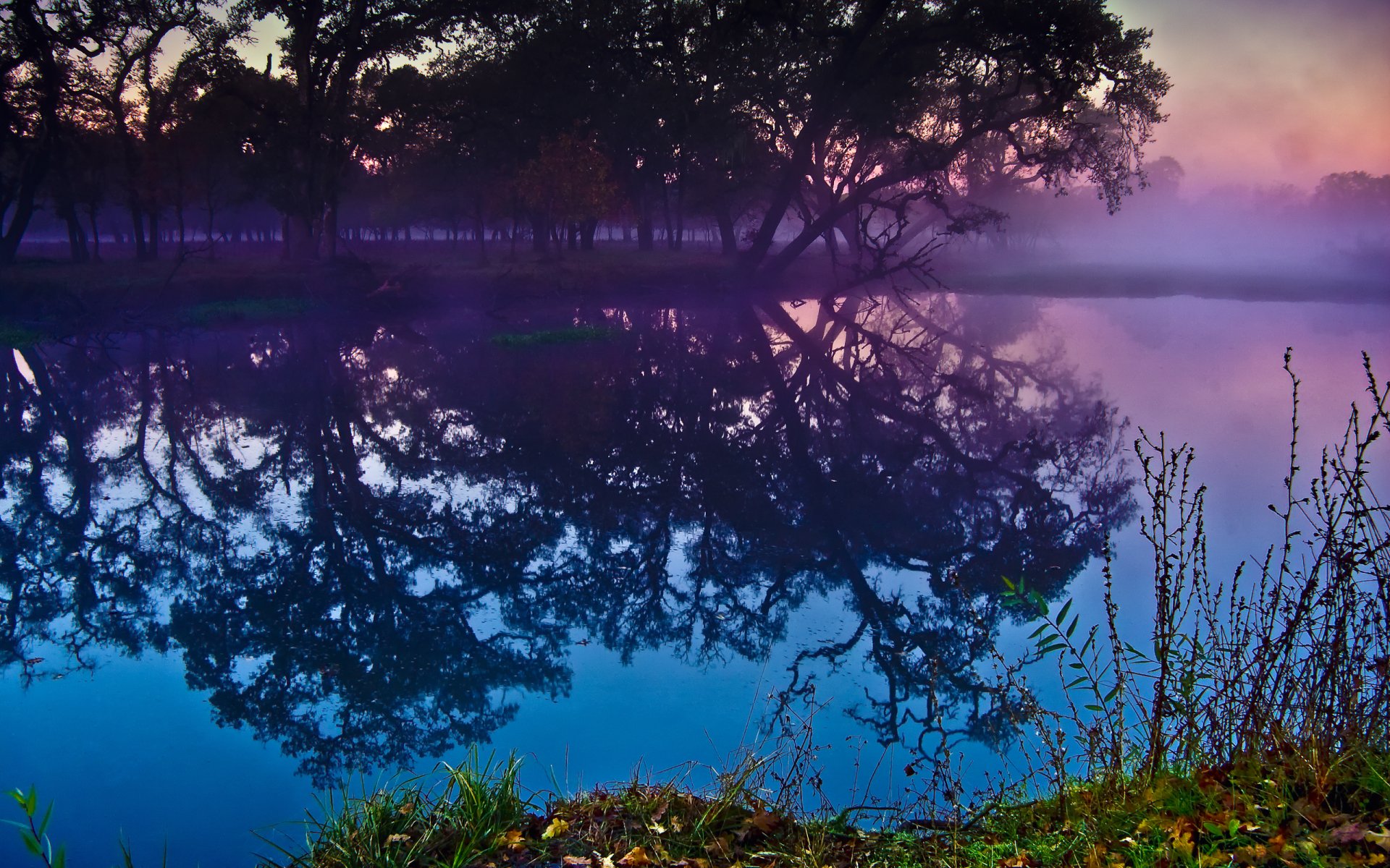 HD desktop wallpaper showcasing a tranquil lagoon with clear water reflecting silhouetted trees under a misty, colorful sky in a serene natural setting.