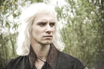 Harry Lloyd Viserys Targaryen TV Show Game Of Thrones HD Desktop Wallpaper | Background Image