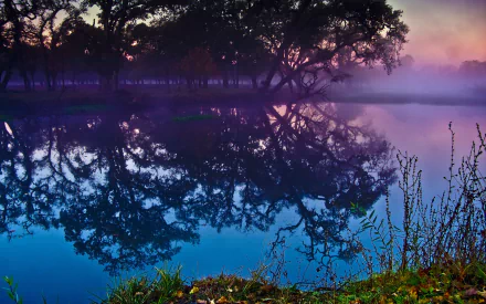 HD desktop wallpaper showcasing a tranquil lagoon with clear water reflecting silhouetted trees under a misty, colorful sky in a serene natural setting.