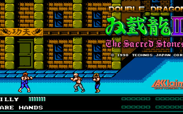 video game Double Dragon III: The Sacred Stones HD Desktop Wallpaper | Background Image