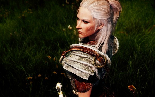 Video Game The Elder Scrolls V: Skyrim The Elder Scrolls HD Wallpaper | Background Image